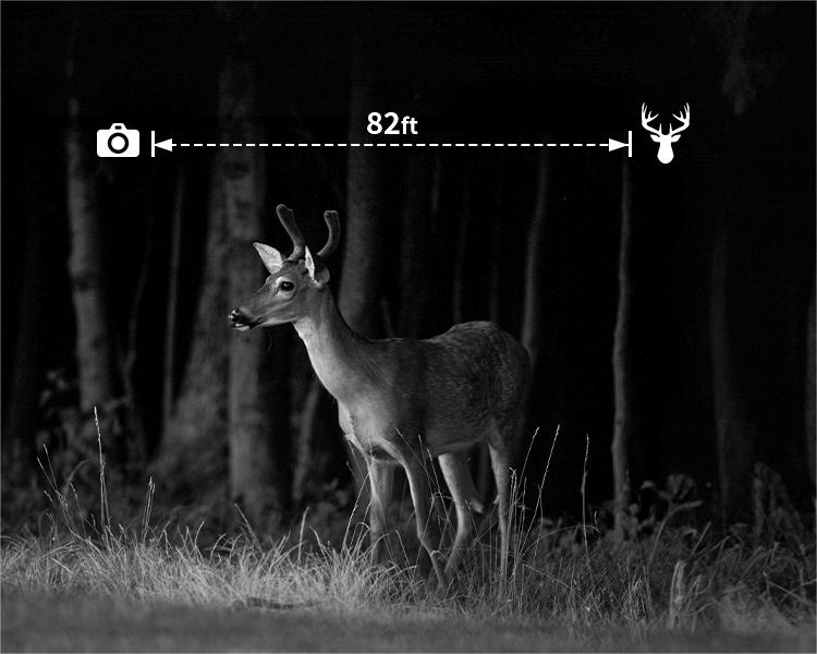 ThreePigeons™ 4G LTE 3rd Gen Cellular Trail Cameras with Live-Streaming