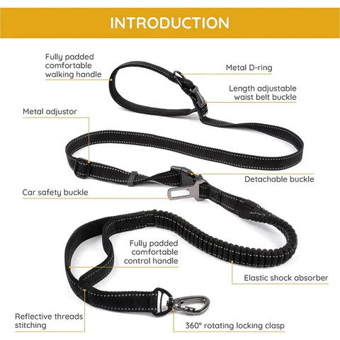 Pet Leash with Nylon Double HandleWalking and Running Leash